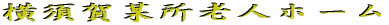 ���{��^���V�l�z�[�� 